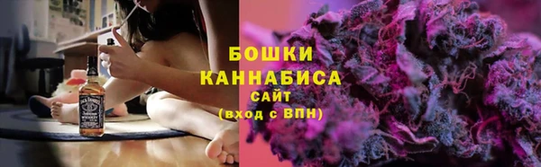 сатива Богородицк