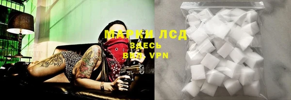 сатива Богородицк