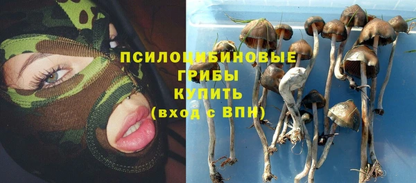 СК Белокуриха