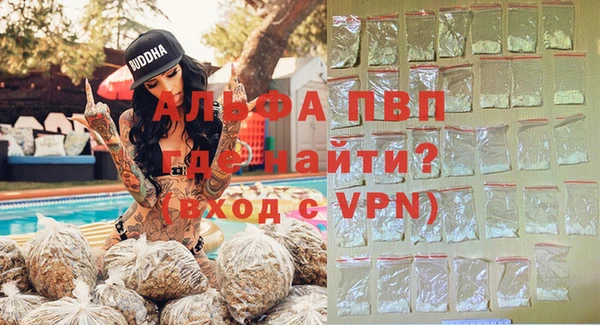 СК Белокуриха