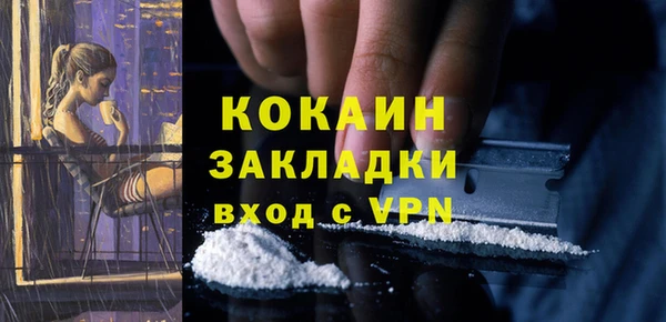 СК Белокуриха