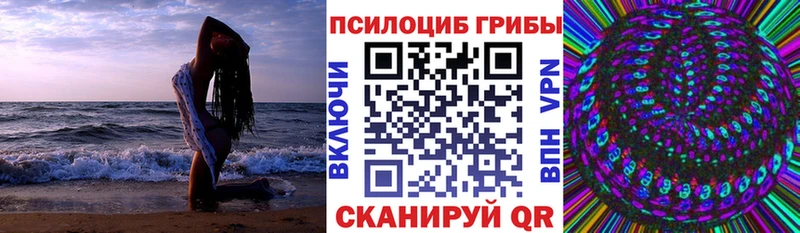 купить наркотик MEGA tor Псилоцибиновые грибы Psilocybe Верхний Уфалей